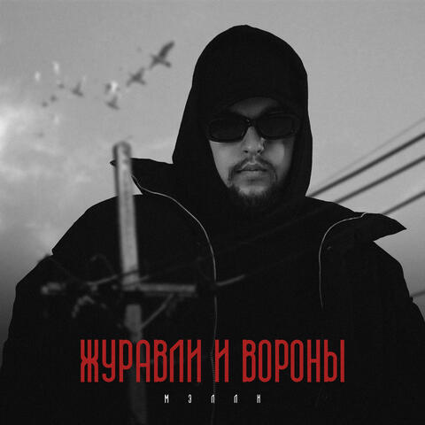 Журавли и вороны