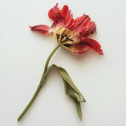 Мне не жалко