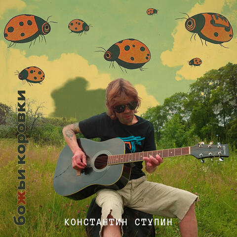 Божьи коровки