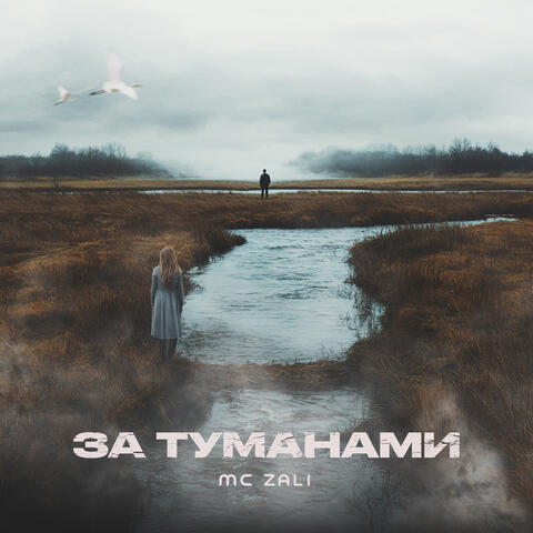 За туманами
