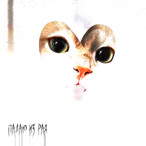 Падаю из рая