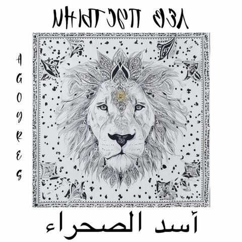 Лев пустыни