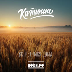 Встретимся дома