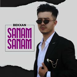Sanam Sanam