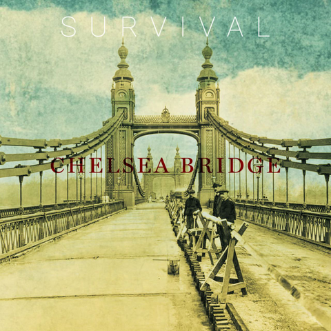 Chelsea Bridge