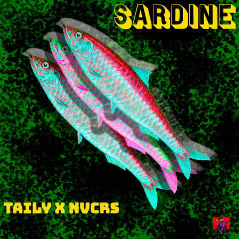 Sardine