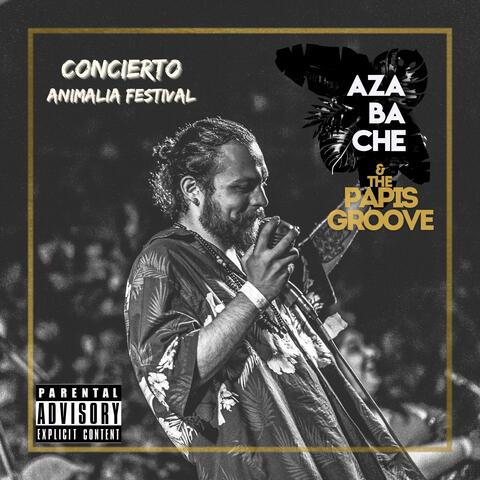 Concert Animalia Festival