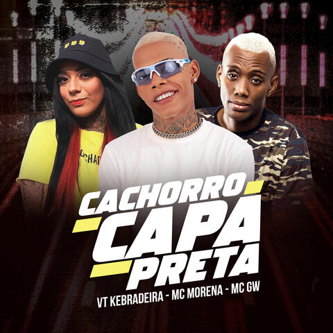 Cachorro Capa Preta
