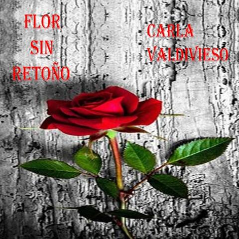 Flor Sin Retoño