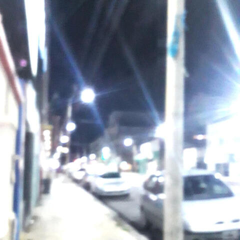 Lealtad
