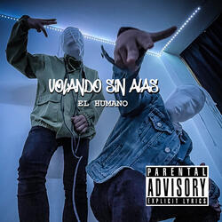 Volando Sin Alas