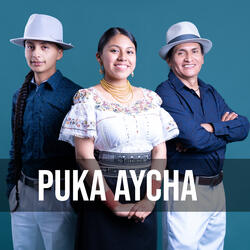 Puka Aycha