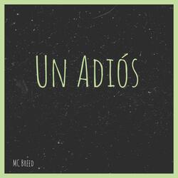 Un Adiós