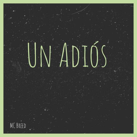 Un Adiós