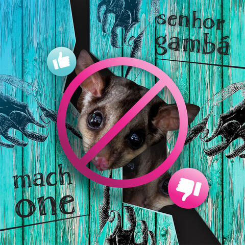 Senhor Gambá