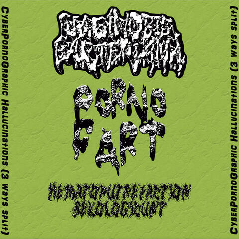 Cyberpornographic Hallucinations (3 Ways Split)