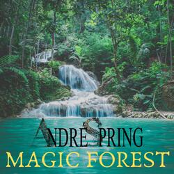 Magic Forest