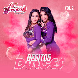 Nunca Dejare de Amarte