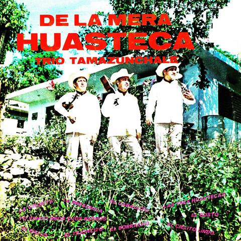 De la Mera Huasteca