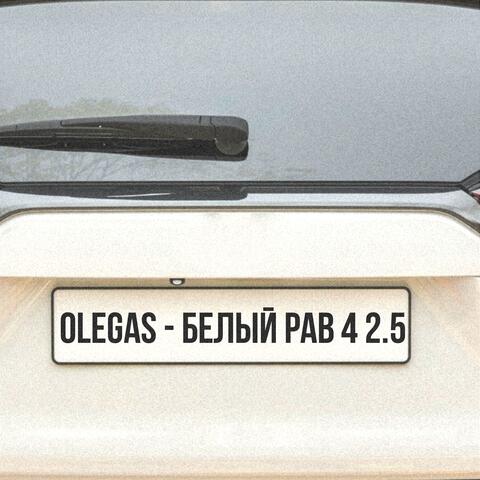 Белый рав 4 2.5