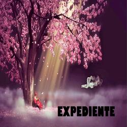Expediente