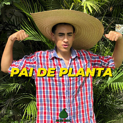 Pai de Planta