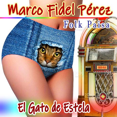 El Gato de Estela Folk Paisa