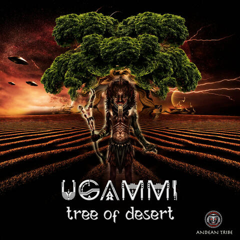 Tree Of Desert