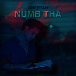 Numb Tha