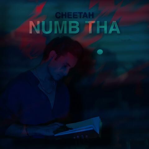 Numb Tha