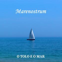 O Tolo e o Mar