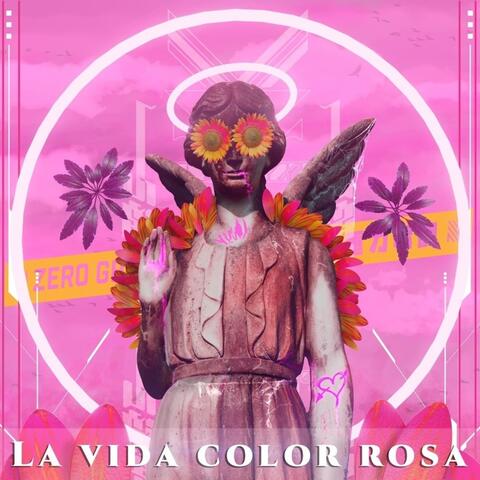 La Vida Color Rosa
