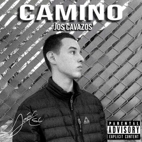 Camino