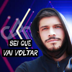Sei Que Vai Voltar