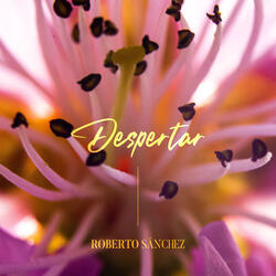 Despertar