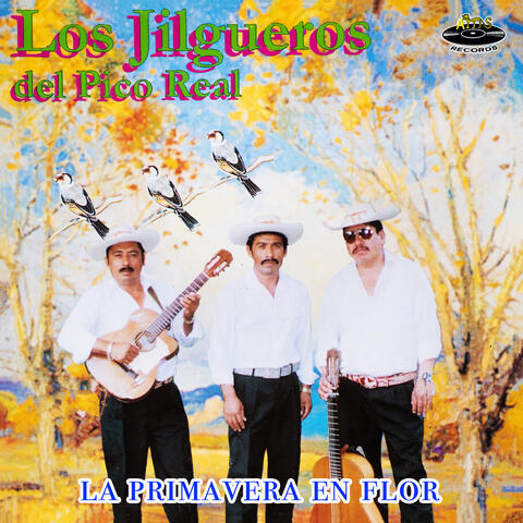 La Primavera en Flor