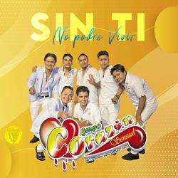 Sin Ti No Podre Vivir