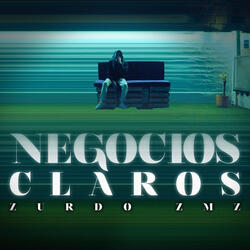 Negocios Claros