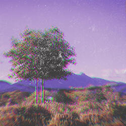 The Illusion of Waiting for Brighter Days