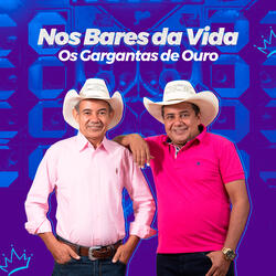 Nos Bares da Vida