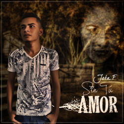 Sin Tú Amor
