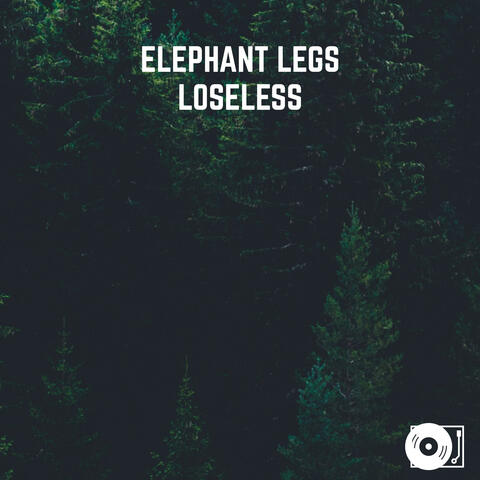 Loseless