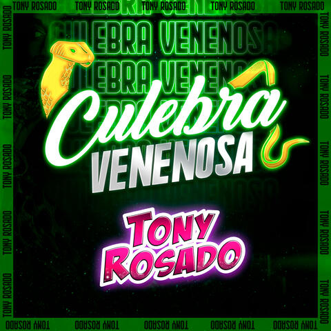 Culebra Venenosa