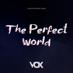 The Perfect World