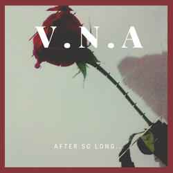V.N.A After So Long