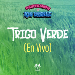 Trigo Verde