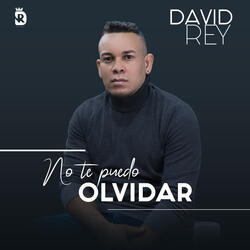 No Te Puedo Olvidar