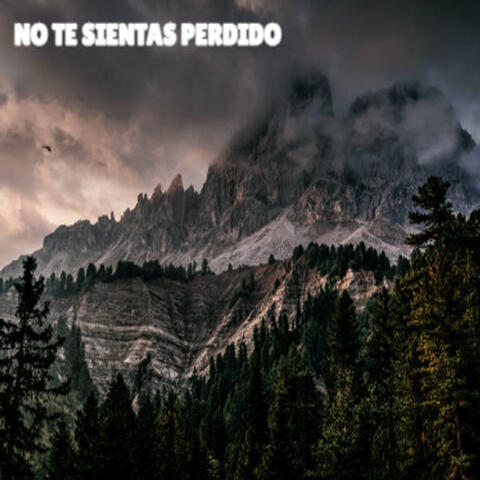 No Te Sientas Perdido