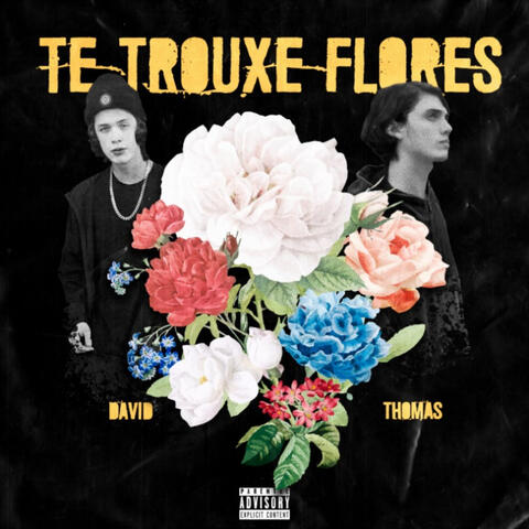 Te Trouxe Flores