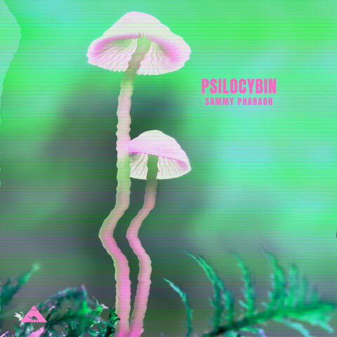 Psilocybin